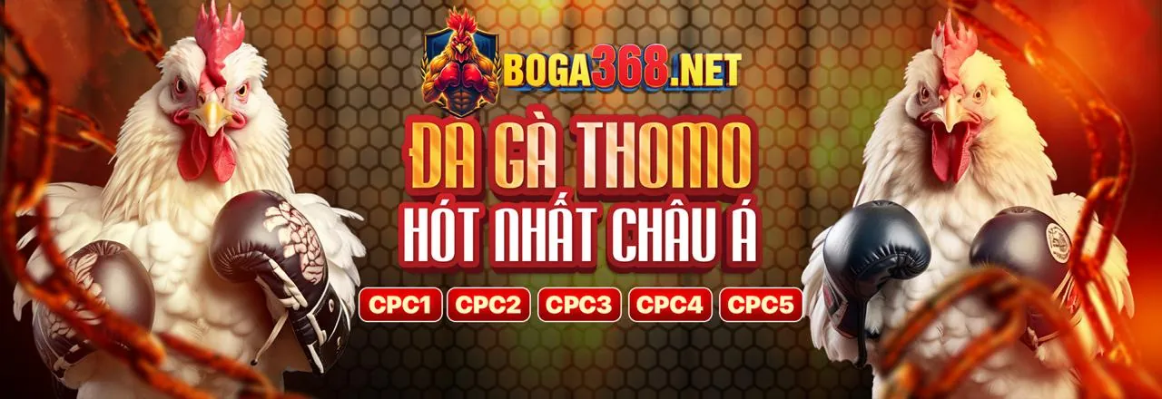 Sân vận động bóng đá với khán giả hâm mộ, biểu tượng của sự kiện thể thao nổi bật