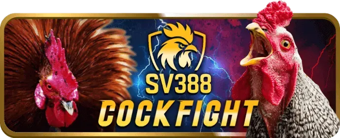 Đa dạng các loại mã ibet188 code với nhiều ưu đãi khác nhau
